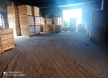 Wood processing plant in the Rivne region for sale
